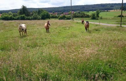 Ferienhaus "Kleine Auszeit" Parkstraße - Foto 44