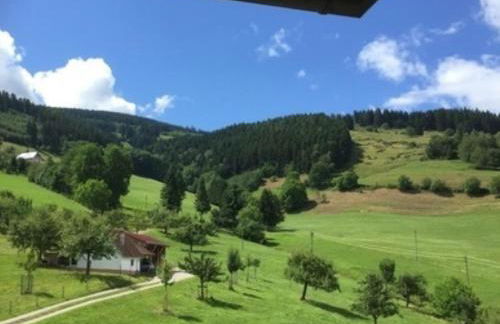 Ferienwohnungen Maierhof Oberried - Foto 12