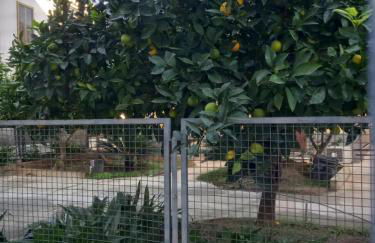 Momenti e Monumenti - Foto 37