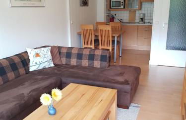 Sonnenblume - Photo 1