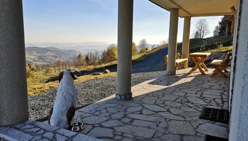 Orle Gniazdo - Foto 5, Garden