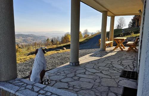 Orle Gniazdo - Foto 5