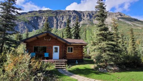 Little Bear Getaway Cabins - Foto 4