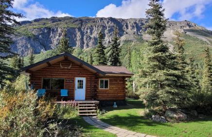 Little Bear Getaway Cabins - Foto 4