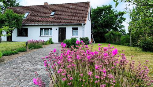 Ferienhaus Arno - Foto 5