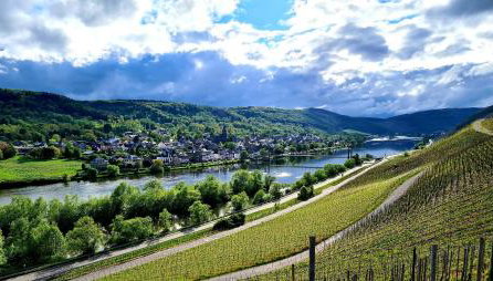 Sonnenufer Apartment & Moselwein II - Foto 5