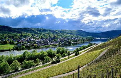 Sonnenufer Apartment & Moselwein II - Foto 9