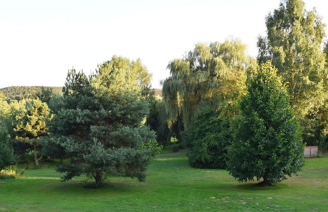 Tranquil Garden Apartment - Photo 25