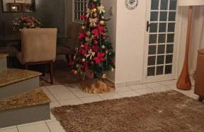 Apartamento - Foto 19