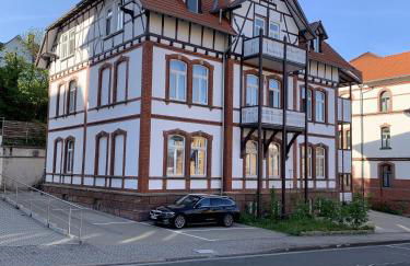 Villa Alexandra 1897 Wohnung Vilma - Foto 15