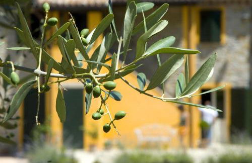 Country House Il Sassòne - Foto 36