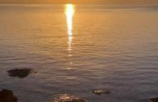 Dinas Inn - Photo 37