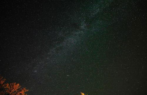 Gutshaus Zarchlin - Photo 11