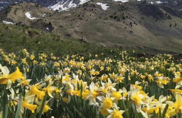 Apartamento de montaña "Nueva Canfranc" - Foto 40