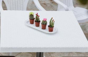 Pelion Mare near the sea - Foto 50