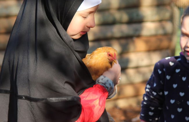 Pump Hill Farm Cottages - Photo 45