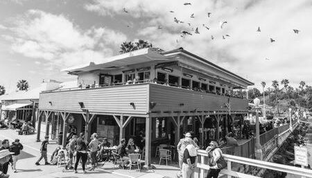 La Mesa House, a large modern home - Foto 5