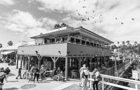 La Mesa House, a large modern home - Foto 5