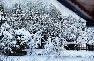 Dzikie południe - Foto 21