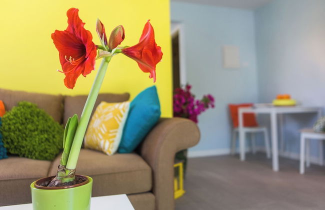 Bubali Bliss Studios & Villas - Foto 22