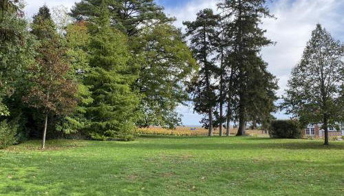 Manoir de Villamont - Foto 4, Garden