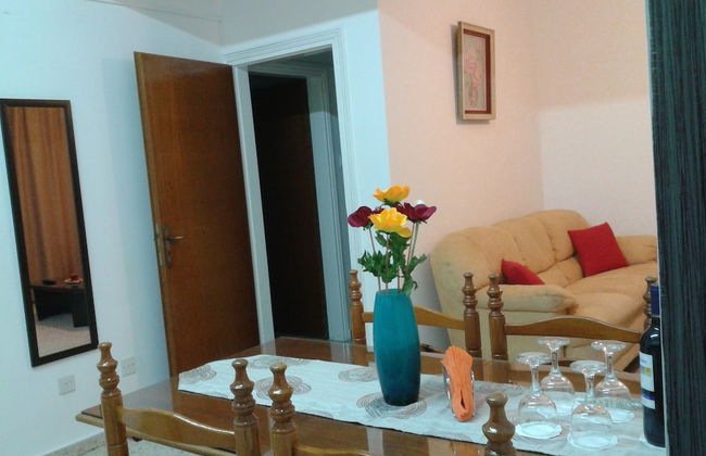 Elenapa Holiday Apartments - Foto 10