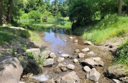 Ferienwohnung mit großer Terrasse - Foto 19