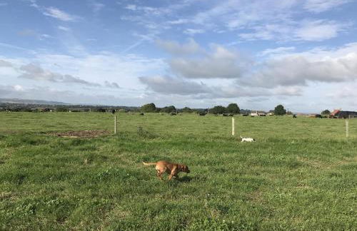 Rew Farm Country and Equestrian Accommodation - Sunset Lodge - Photo 40