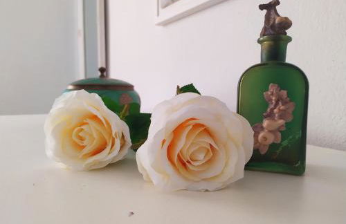 Pregonda 13 Menorca - Foto 33