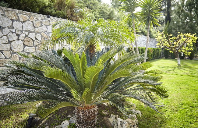 Unique Villa La Vie Est Belle - Foto 31