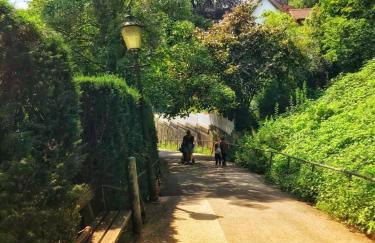 Ferienwohnung Schönwälder mit kleiner Terrasse und WALL BOX - Photo 24
