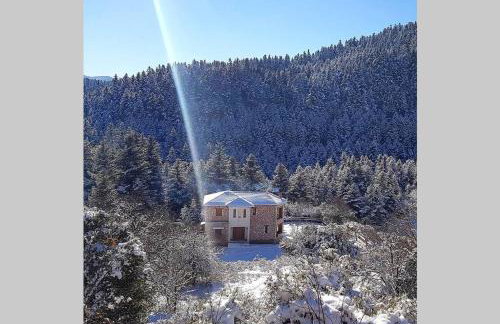 Elati Hills - Photo 9