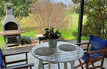 The House in the Mulberries Trees - Photo 29