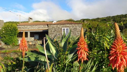 Casa do Bernardo - Photo 2, Garden