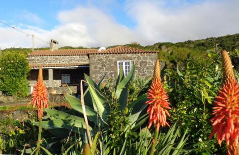 Casa do Bernardo - Photo 2