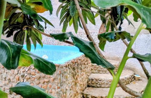 Casa da Flor - Photo 31