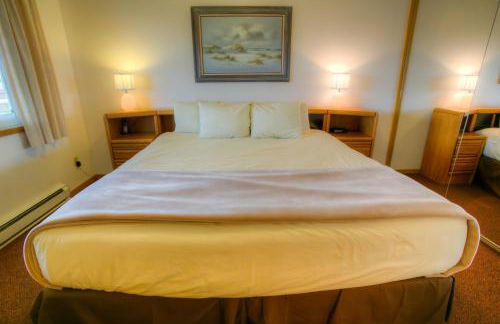 The Grey Gull - Foto 62