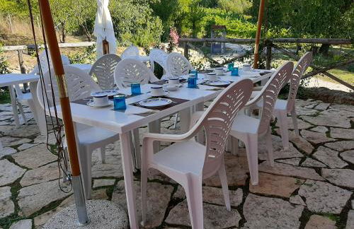 L'Albero degli Struzzi - Foto 10