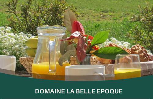 La Belle Epoque Sansac de Marmiesse - 4 Gites de 2 à 6 personnes - Petit Dej - 15 minutes d'Aurillac - Cantal - Foto 46