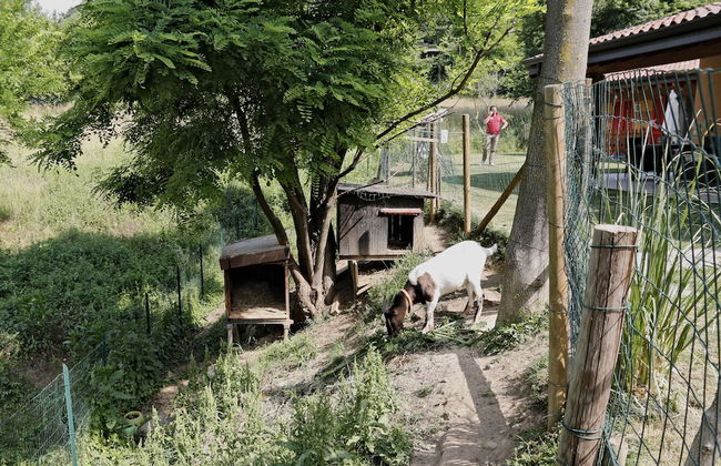 Agriturismo Terra e Lago d'Iseo - Foto 28
