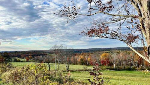 Litchfield Modern Farmhouse - Foto 4