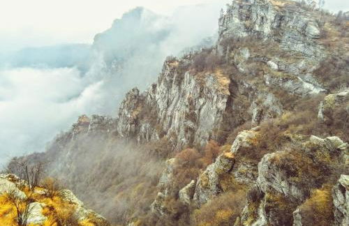 Natura e relax - Foto 24