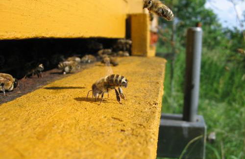 Appartement Barcelonnette Ubaye, Provence - Foto 32