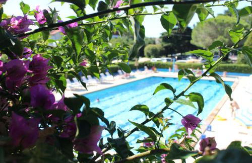 Residence Magnolia Pet Friendly - Foto 17