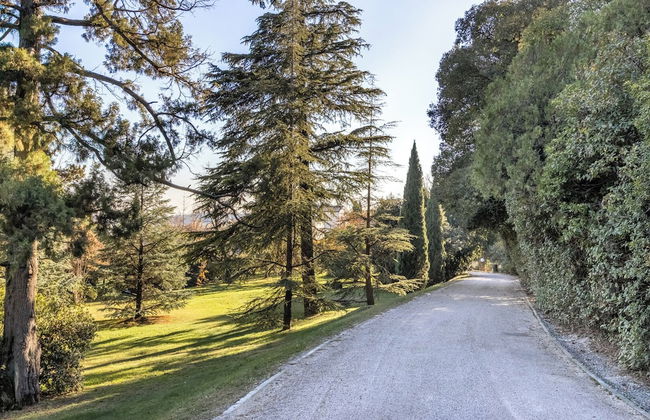 Villa Col di Luna-ProseccoHills - Photo 54