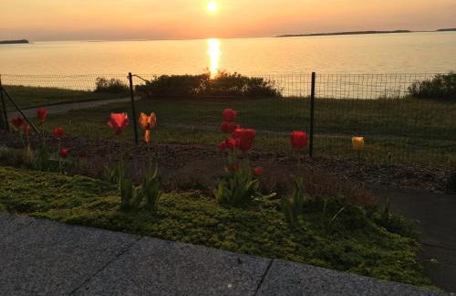 Ferienwohnung Pepelow bei Rerik - Foto 4