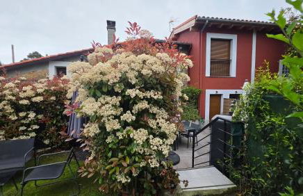 Apartamentos Les Texuques II - Foto 14