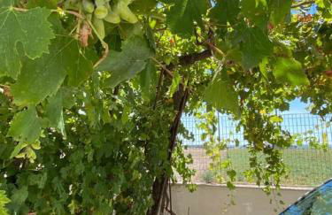 villavillachiara - Foto 8