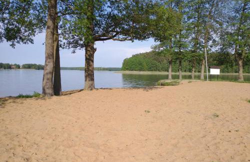 Kwiat Jabłonki - Foto 14