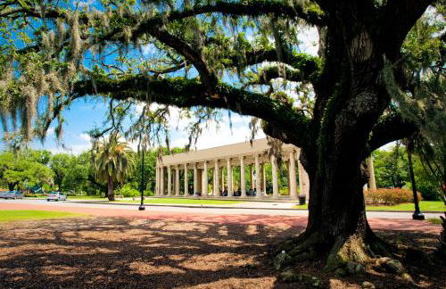 Esplanade Magic 2 - Foto 47